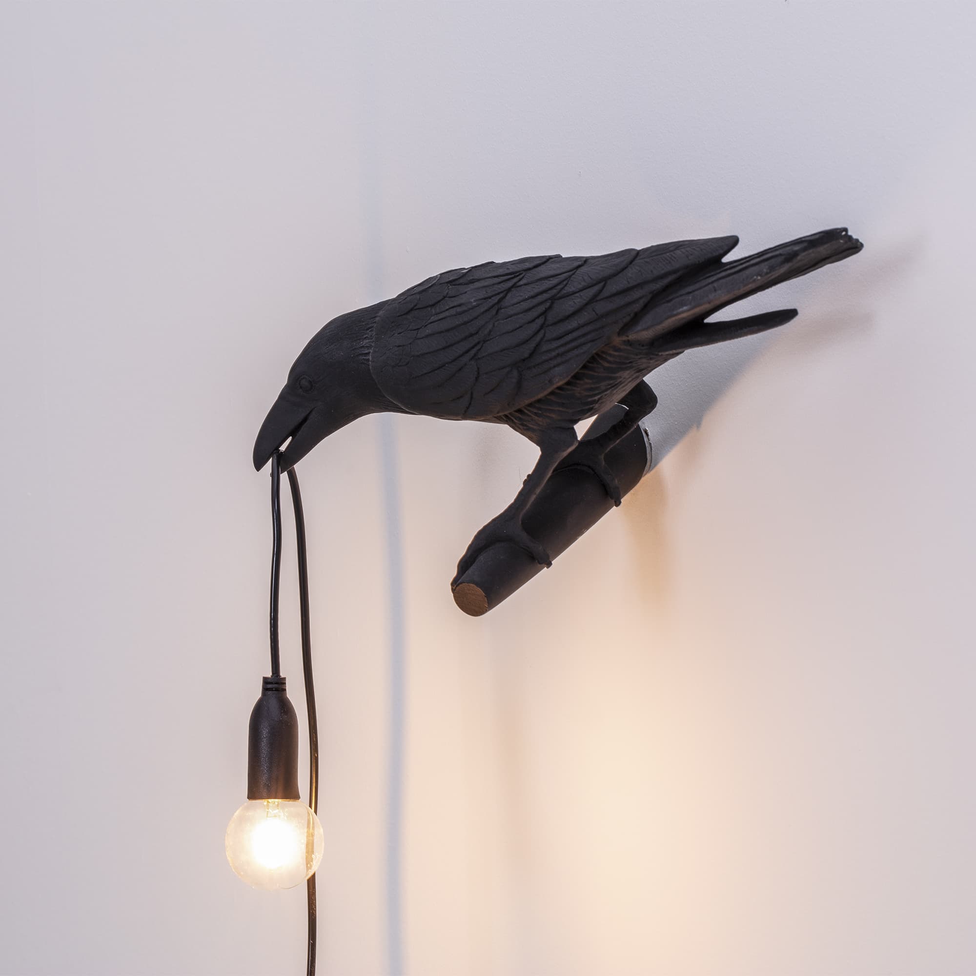 Настенный светильник Bird Looking Left Black