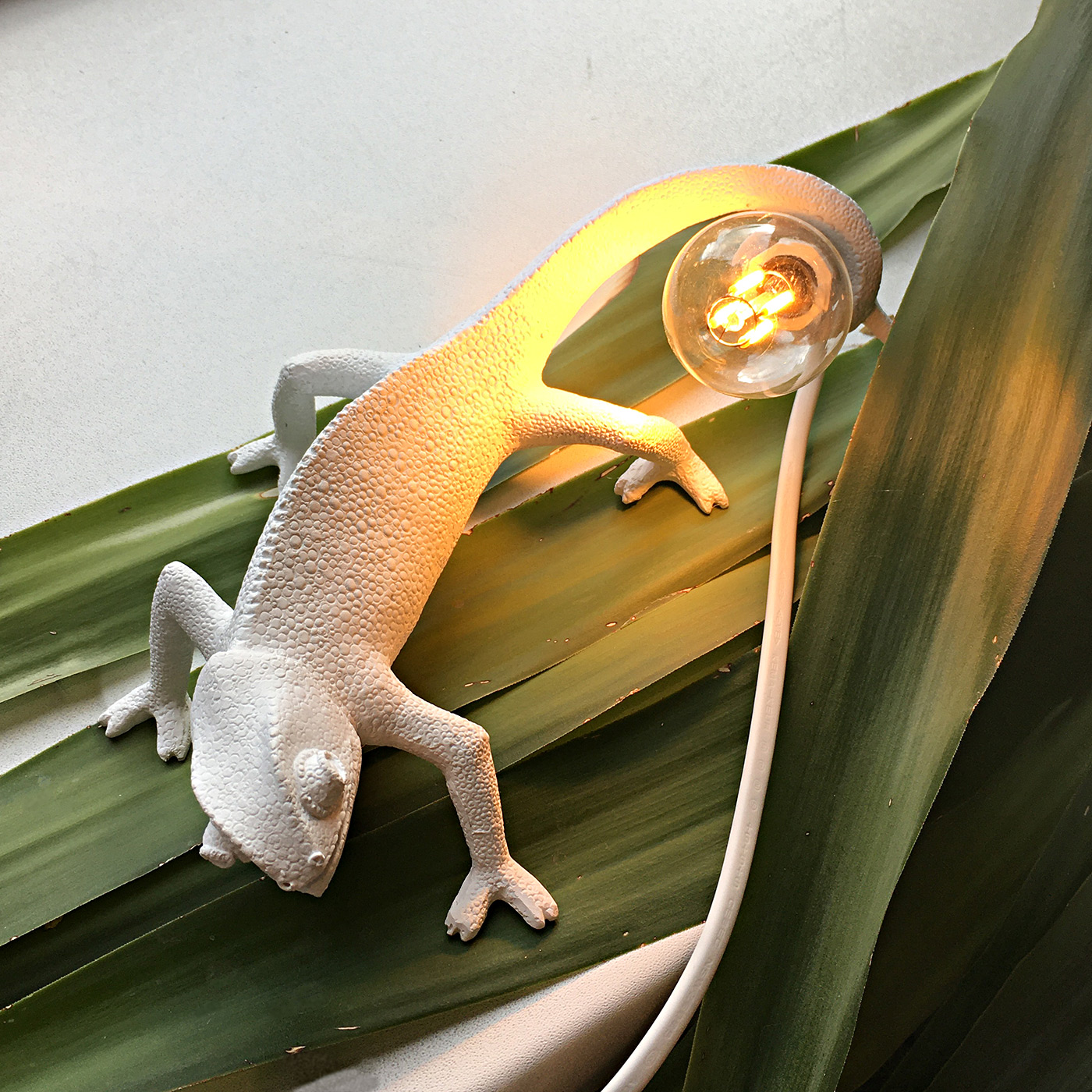Настенный светильник Chameleon Going Up USB