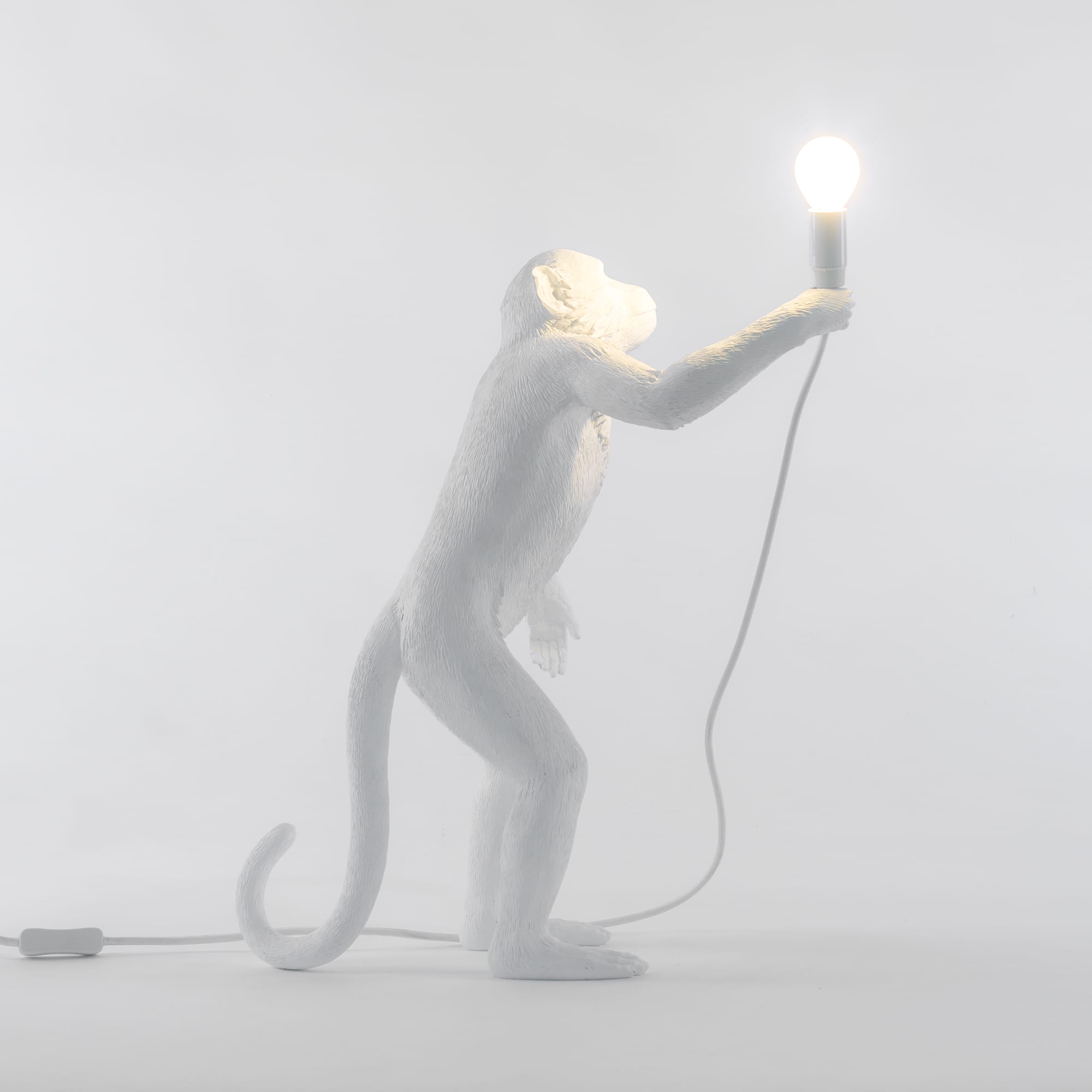 Настольная лампа Monkey Lamp Outdoor Standing