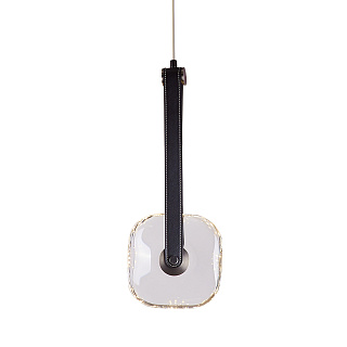 Подвесной светильник OD2553-1B black/clear