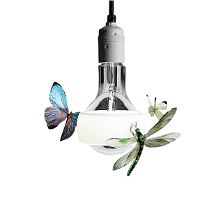 Подвесной светильник Ingo Maurer Johnny B. Butterfly 420cm