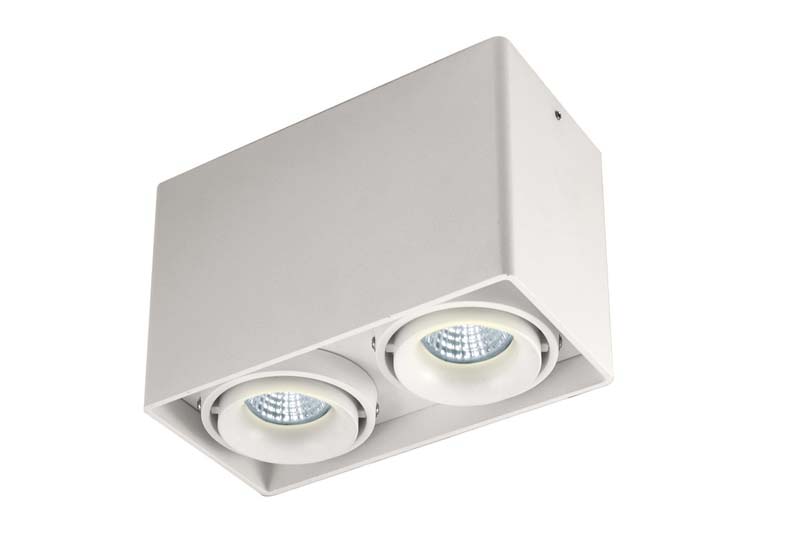 Накладной светильник под сменную лампу DL18611/02WW-SQ White Lumme