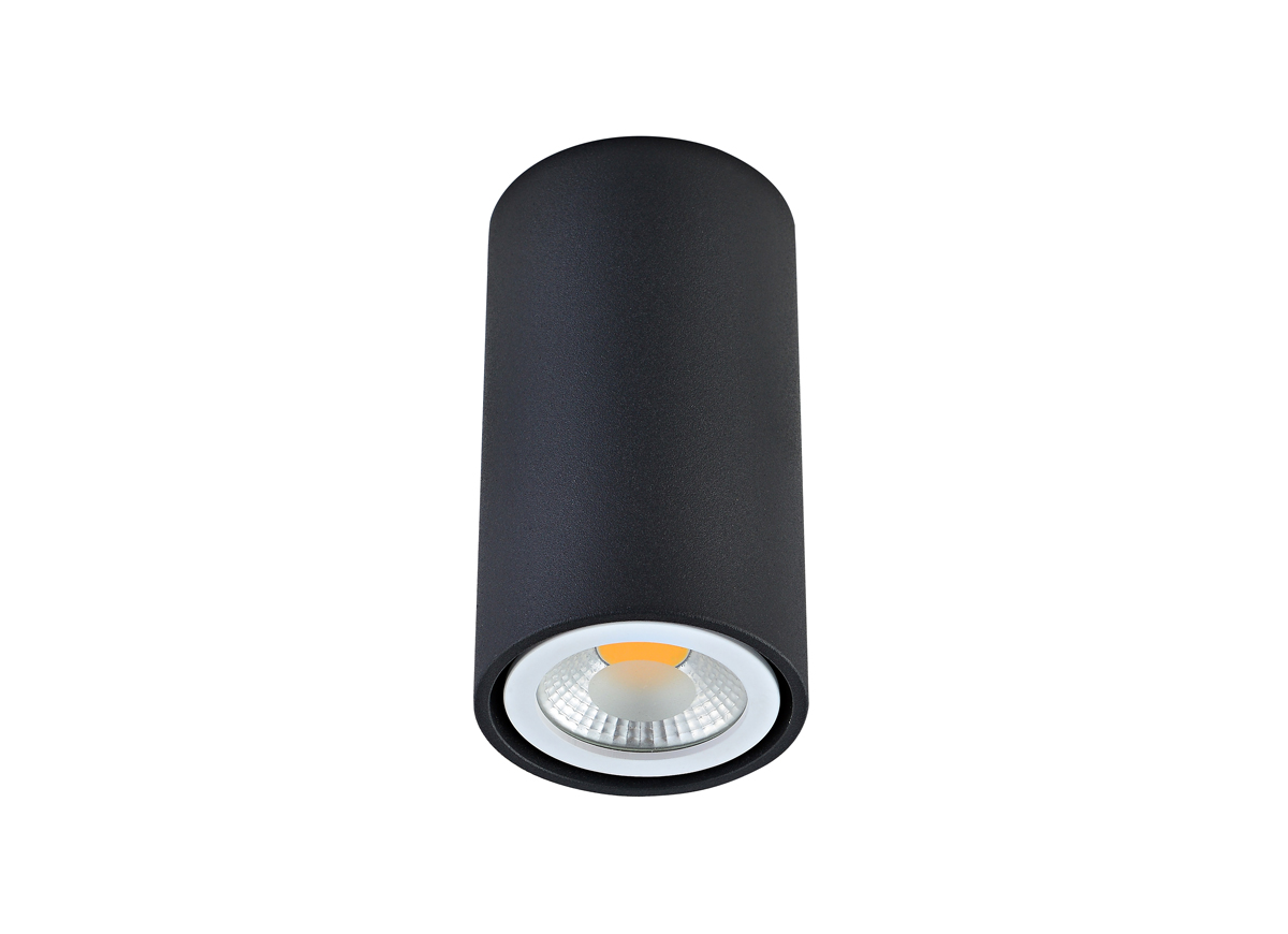 Накладной алюминиевый светильник под сменную лампу N1595Black/RAL9005 Eva