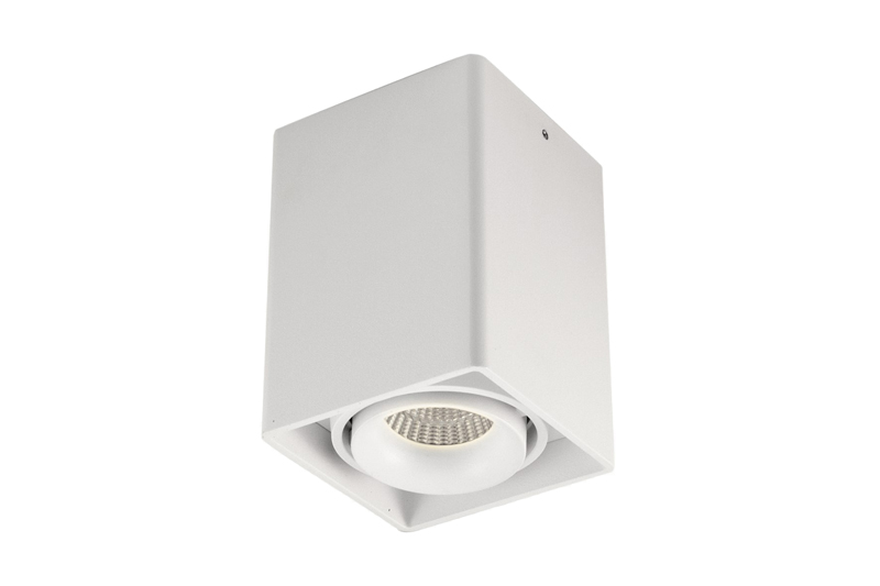 Накладной светильник под сменную лампу DL18611/01WW-SQ White Lumme