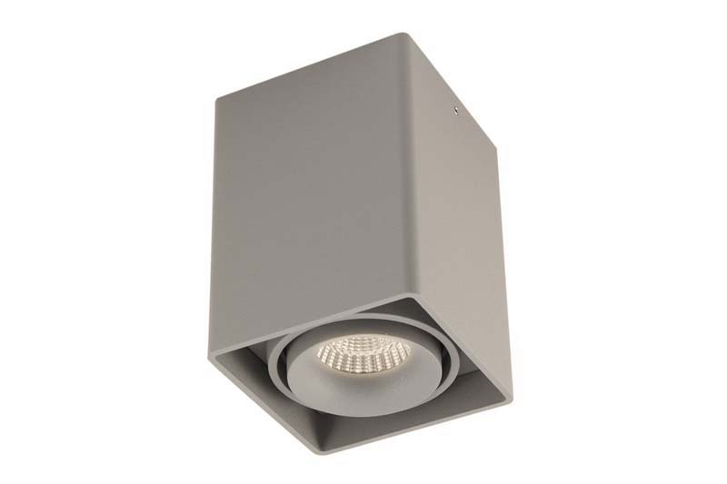 Накладной светильник под сменную лампу DL18611/01WW-SQ Silver Grey Lumme