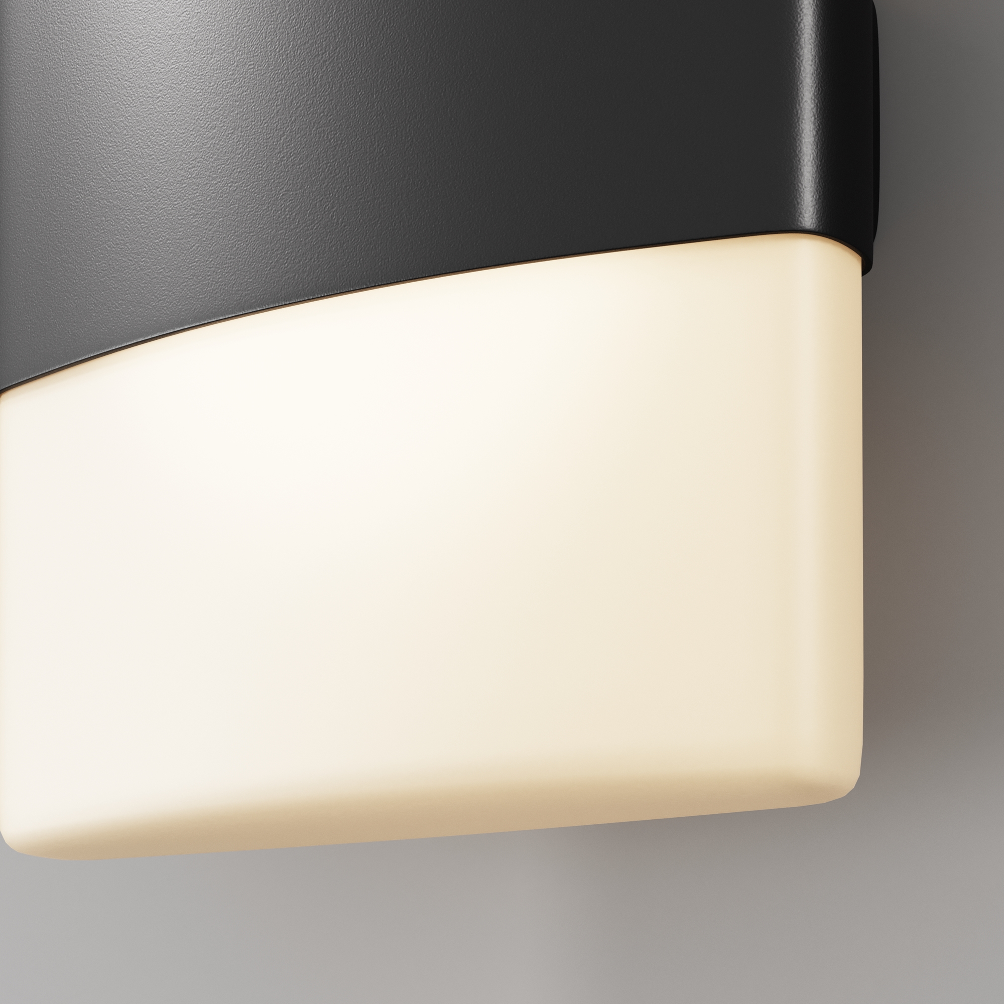 Настенный светильник (бра) Outdoor O442WL L12