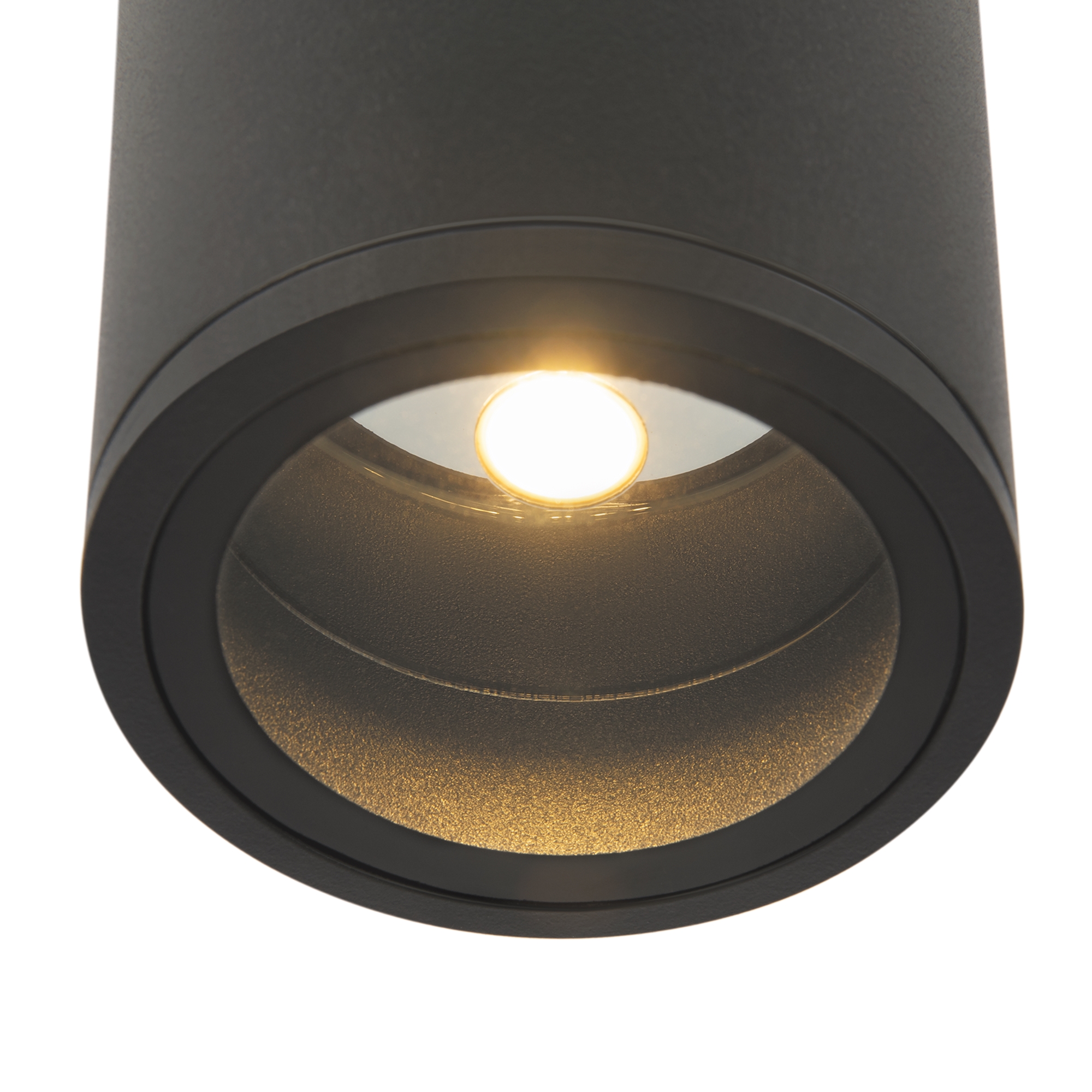 Потолочный светильник Outdoor O306CL L12