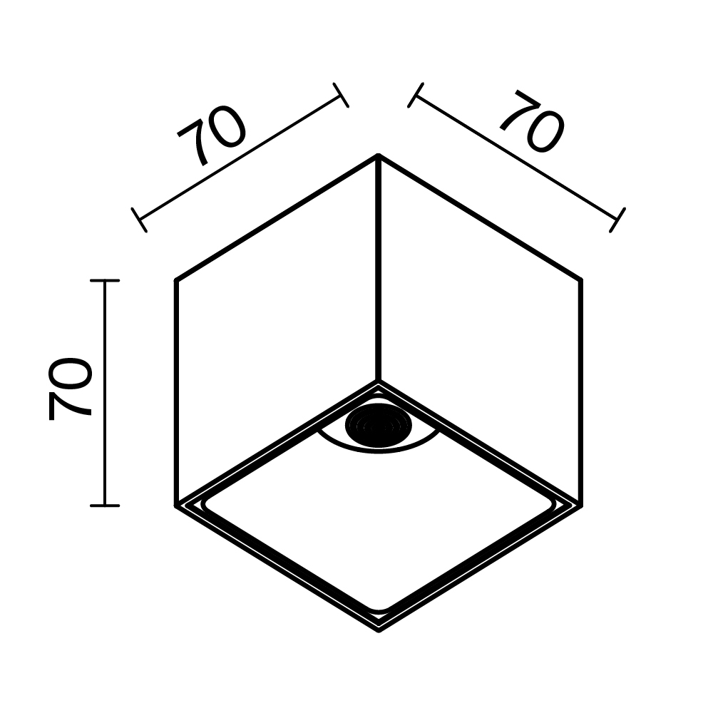 Потолочный светильник Technical C065CL L12