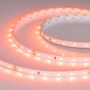 Светодиодная лента RT-A60-8mm 24V Carrot (4.8 W/m, IP20, 5m) (Arlight, -) 055375