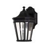 Настенный фонарь Feiss FE-COTSLN2-S-BK
