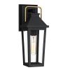 Настенные фонари Quoizel QZ-BUCKLEY-S-MBK
