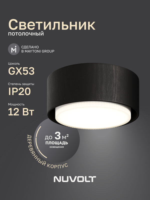 Потолочный светильник NUVOLT LDL-008BW