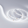 Светодиодная лента MICROLED-5000HP 24V White6000 8mm (2216, 120 LED/m, LUX) (Arlight, 14 Вт/м, IP20) 024424
