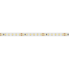 Светодиодная лента RT 2-5000 24V Cool 8K 2x (3528, 600 LED, LUX) (Arlight, 9.6 Вт/м, IP20) 013747
