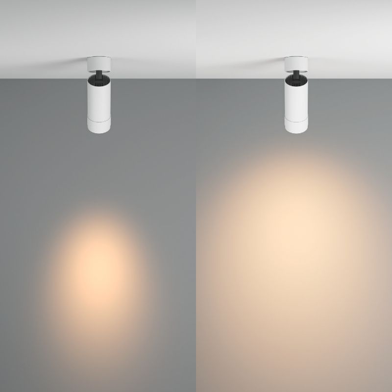 Потолочный светильник Technical C055CL-L12W3K-Z-W