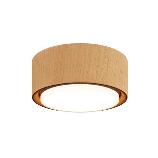 Потолочный светильник NUVOLT LDL-008RW