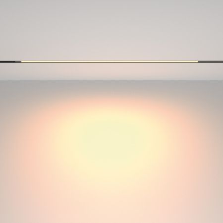 Трековый светильник Technical TR231-2-15W3K-B