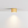 Потолочный светильник NUVOLT LDL-007RW