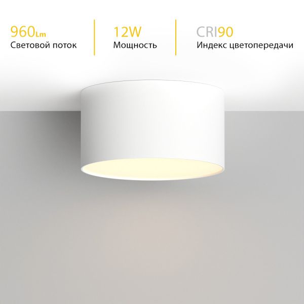 Накладной светодиодный светильник Ledron LXS0812-12W White 3000K