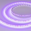 Светодиодная лента RT-A120-8mm 24V Violet (9.6 W/m, IP20, 2835, 5m) (Arlight, -) 043384