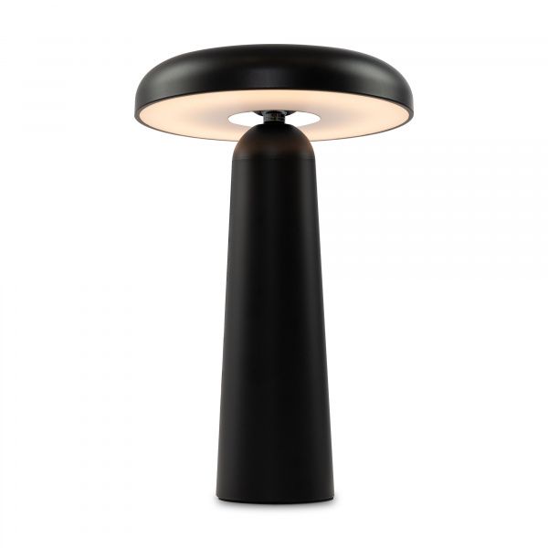 Аккумуляторный светильник Freya FR6109TL-L4B