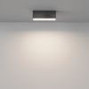 Потолочный светильник Technical C068CL-12W3-6K-B