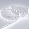 Светодиодная лента RT 2-5000 24V White6000 (3528, 300 LED, LUX) (Arlight, 4.8 Вт/м, IP20) 011504(B)