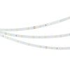 Светодиодная лента RT-A30-8mm 24V White6000 (2.9 W/m, IP20, 2835, 5m) (Arlight, Открытый) 019917(2)