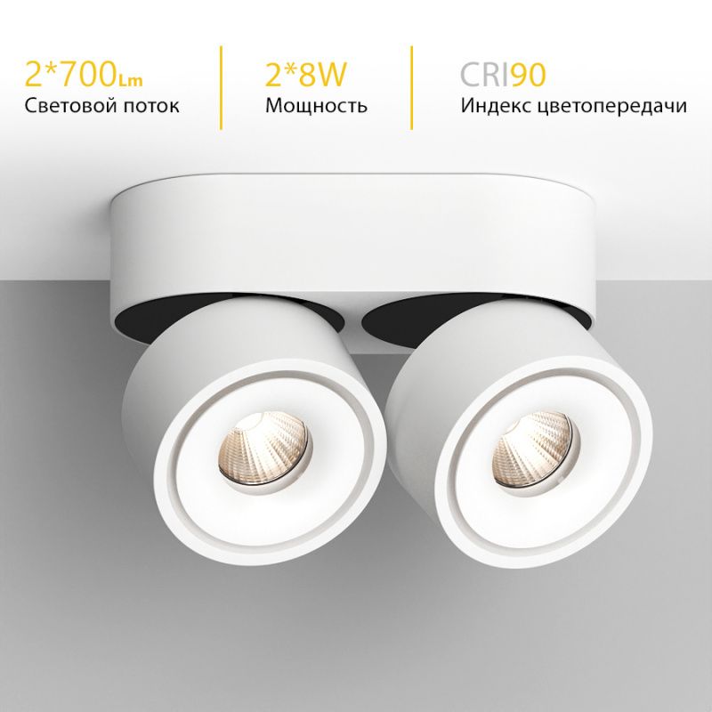 Накладной поворотный светодиодный светильник Ledron LH8W 2 White