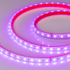 Светодиодная лента герметичная RTW-PS-B60-12mm 24V RGB (14.4 W/m, IP67, 5060, 5m) (Arlight, 14.4 Вт/м, IP67) 021400(2)