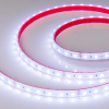 Светодиодная лента герметичная RTW-PS-B60-12mm 24V RGB (14.4 W/m, IP67, 5060, 5m) (Arlight, 14.4 Вт/м, IP67) 021400(2)