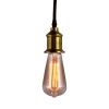 Подвесные светильники Gramercy Home CH023-1-BRS