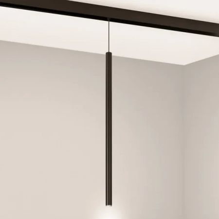 Светильник MAG-ORIENT-SPOT-HANG-L500-R20-3W Warm3000 (BK, 20 deg, 48V) (Arlight, IP20 Металл, 5 лет) 046897