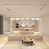 Светильник трековый SHINE SPOT ZigBee DK5944-DN