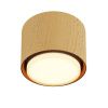 Потолочный светильник NUVOLT LDL-007RW
