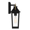 Настенные фонари Quoizel QZ-BUCKLEY-S-MBK