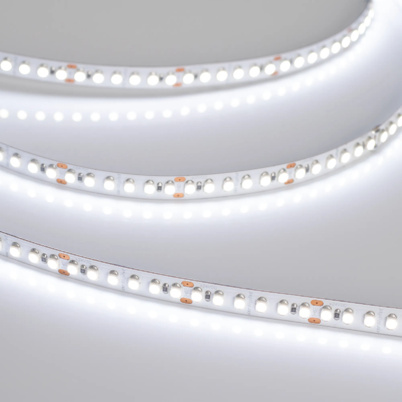 Светодиодная лента RT6-3528-180 24V White6000 3x (900 LED) (Arlight, 14.4 Вт/м, IP20) 017429