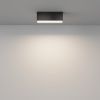 Потолочный светильник Technical C068CL-12W3-6K-B