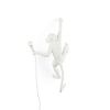 Настенный светильник Seletti Monkey Lamp Outdoor Hanging Right