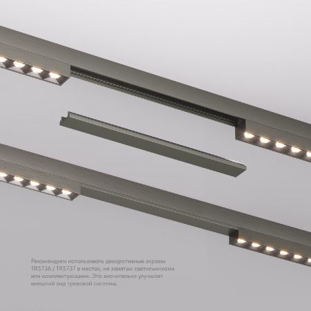 Декоративная заглушка желоба трека SHINE BASE TR5736-DN