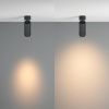 Потолочный светильник Technical C055CL-L12W3K-Z-B