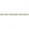 Светодиодная лента RT 2-5000 12V Day4000 2x (2835, 600 LED, PRO) (Arlight, 14.4 Вт/м, IP20) 024339(1)