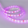 Светодиодная лента герметичная RTW-SE-B60-10mm 12V RGB (14.4 W/m, IP65, 5060, 5m) (Arlight, -) 014618(2)