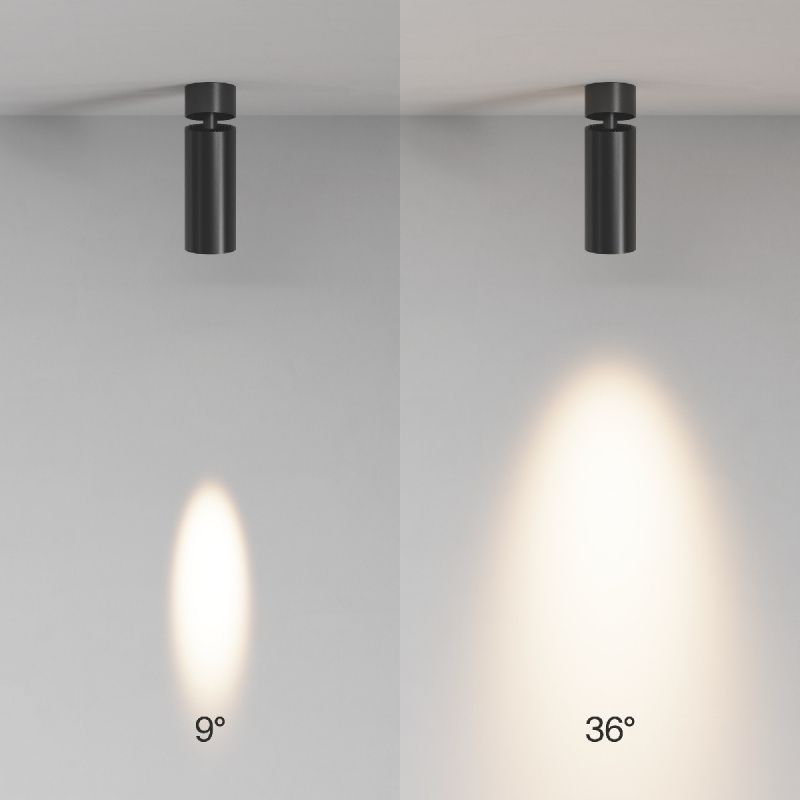 Потолочный светильник Technical C055CL-L12W3K-SS-B