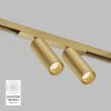 Светильник для трека SHINE SPOT DK5742-SB