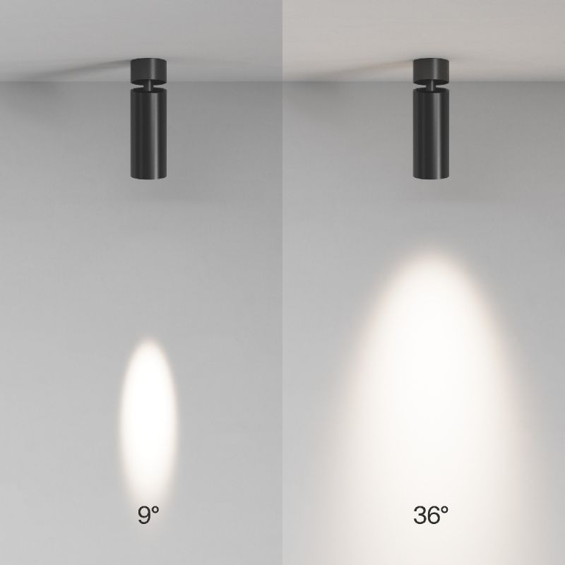 Потолочный светильник Technical C055CL-L12W4K-SS-B