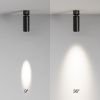 Потолочный светильник Technical C055CL-L12W4K-SS-B