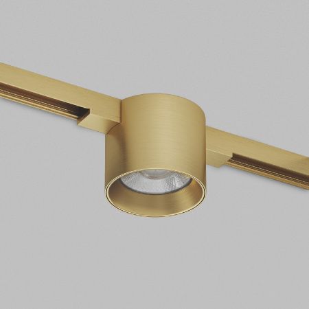 Светильник для трека SHINE SPOT DK5743-SB