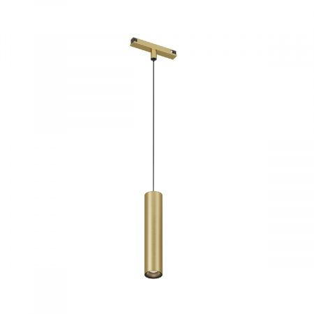 Светильник для трека SHINE SPOT DK5744-SB
