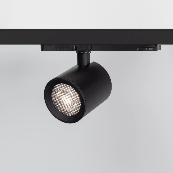 Сетчатый фильтр с посадочным кольцом LGD-NIKA-HCR-R100 (BK) (Arlight, Металл) 036003